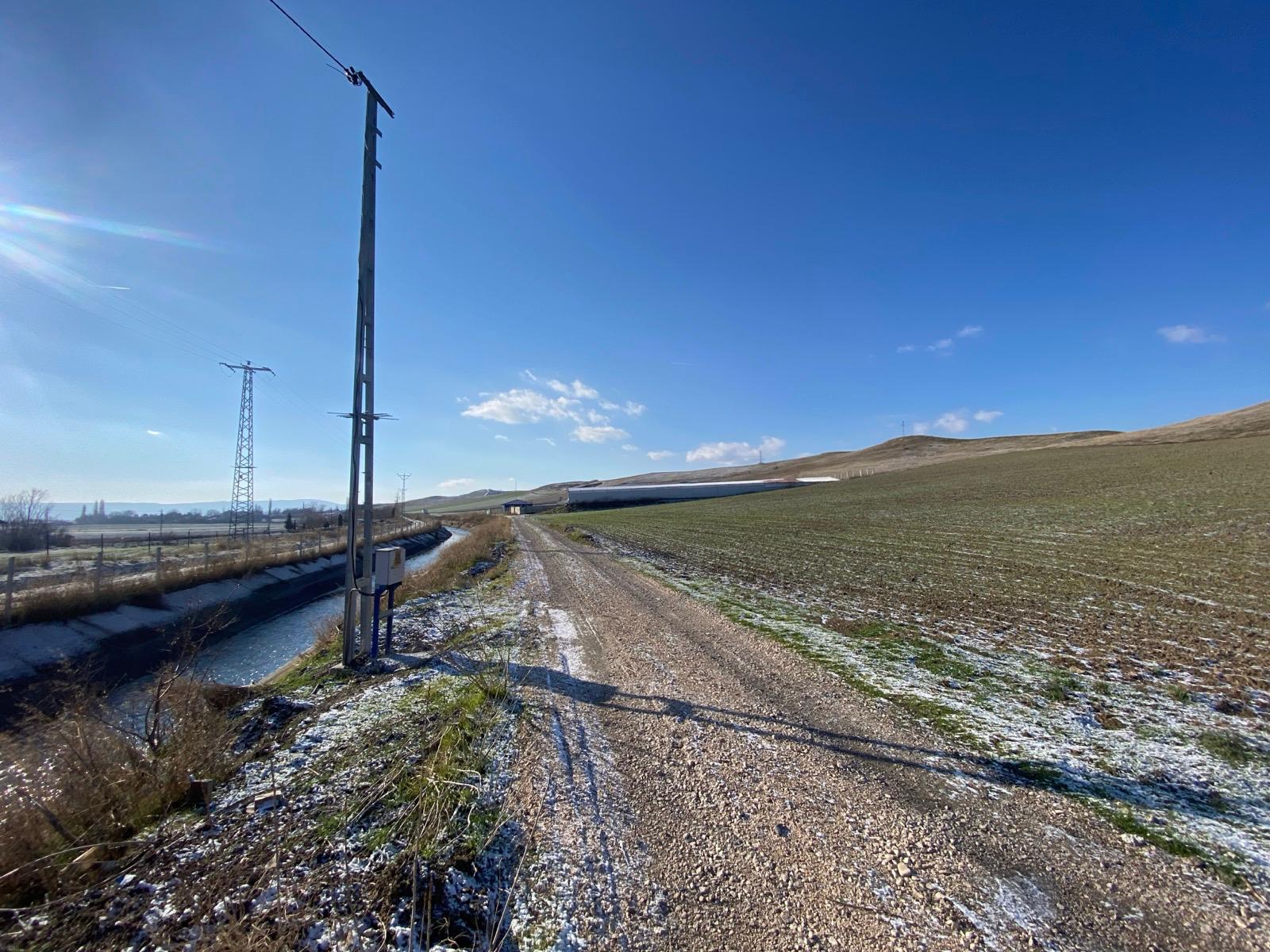 MABEL'DEN KAÇIRILMAYACAK TARLA